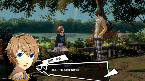 Persona 5 Royal [Nintendo Switch, английская версия] во Владикавказе