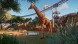 Игра Planet Zoo: Console Edition [PS5, английская версия] во Владикавказе