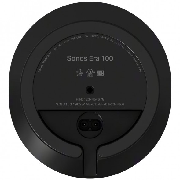 Умная колонка Sonos Era 100, черный во Владикавказе
