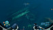 Игра Subnautica: Below Zero [PS5, русские субтитры] во Владикавказе