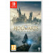 Игра Hogwarts Legacy [Nintendo Switch, русские субтитры] во Владикавказе