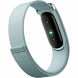 Фитнес-браслет Google Fitbit Air (Серо-голубой/Fog) во Владикавказе