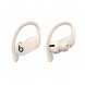 Беспроводные наушники Beats Powerbeats Pro, Ivory (MY5D2ZM/A) во Владикавказе