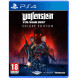 Игра Wolfenstein Youngblood Deluxe Edition [PS4, русская версия] во Владикавказе