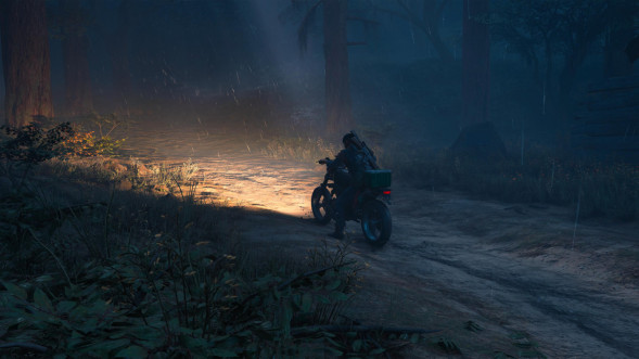 Игра Жизнь После (Days Gone) [PS4, русская версия] во Владикавказе