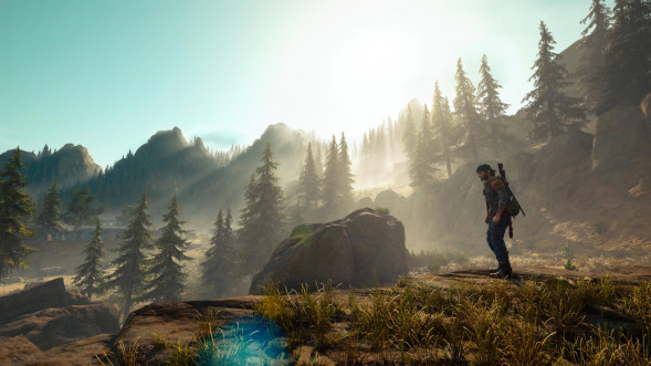 Игра Жизнь После (Days Gone) [PS4, русская версия] во Владикавказе