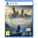 Игра Hogwarts Legacy. Exclusive DLC Astronomers Hat [PS5, русские субтитры] во Владикавказе