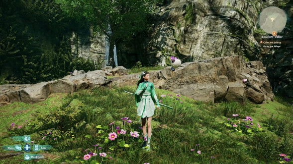Игра Sword and Fairy: Together Forever [PS4, английская версия] во Владикавказе